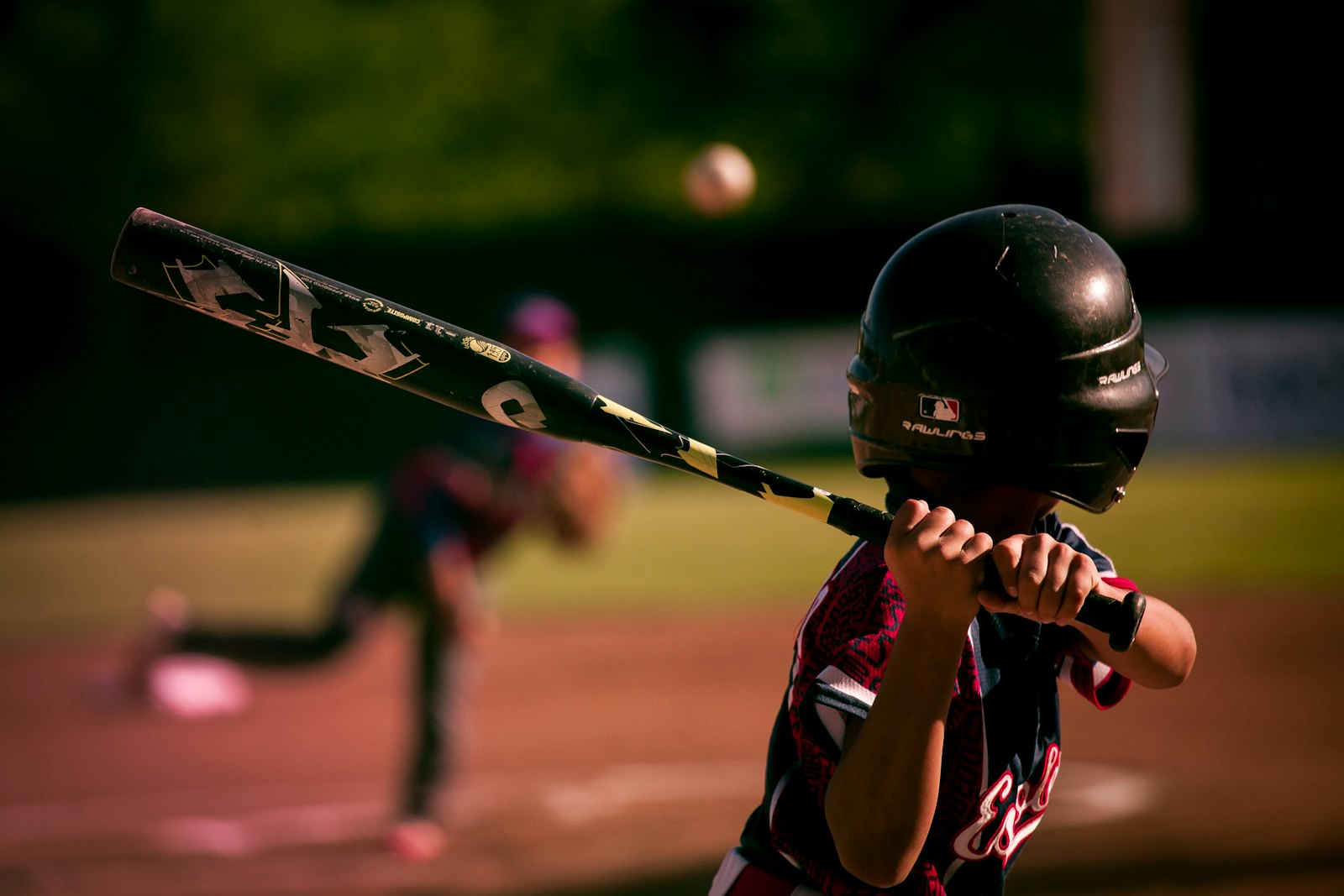 Baseball / Softball
